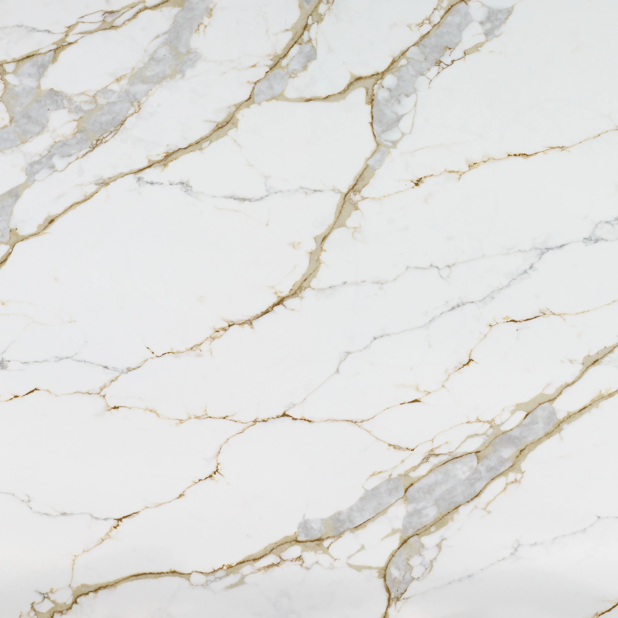 gq t389 feature pic warm calacatta gold quartz slab crisp pure white delicate gold vein soft silver grey linear accent